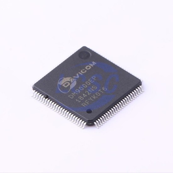 DAVICOM DM9000EP