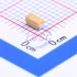 XY(Zhenhua XinYun) CA45A-A-10V-10uF-K