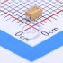 XY(Zhenhua XinYun) CA45B-A-10V-10uF-M