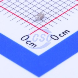 FH 0603CG101J500NT