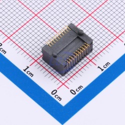 PULSE E81M0-002-01-LT