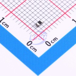 BHFUSE BSMD0603L-100 BHFUSE BSMD0603L-100