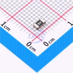 BNstar SMD1206-100C-24V BNstar SMD1206-100C-24V