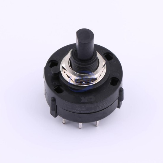 C&K A30303RNCQ