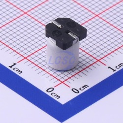 Honor Elec RVT1E101M0607
