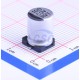 Honor Elec RVT1H101M0810 Honor Elec RVT1H101M0810