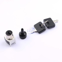 NKK Switches SK22BG13