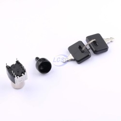 NKK Switches SK22BG13