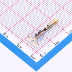 DLL XGC-T-G-GOLD