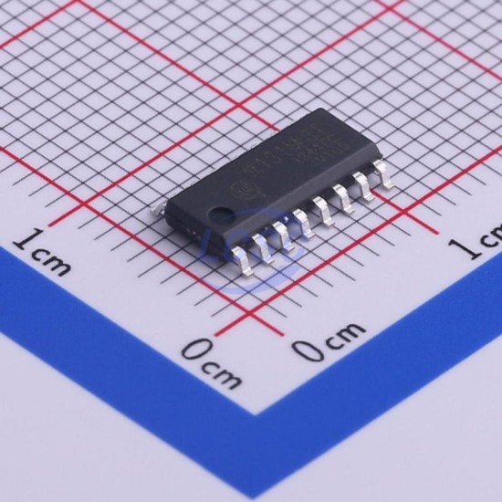 2Pai Semi π131M31