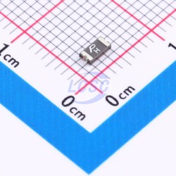PTTC(Polytronics Tech) SMD1206P010TF