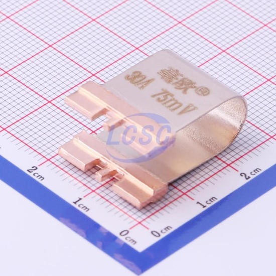 Milliohm HoFLQ60-30A-75mV-1%-10