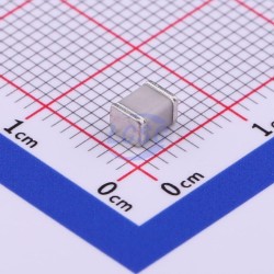 SURGING SMD90XM SURGING SMD90XM