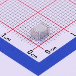 SURGING SMD300XM SURGING SMD300XM