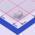 SURGING SMD300XM
