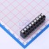 JILN JL212V-SMT-50009BP1