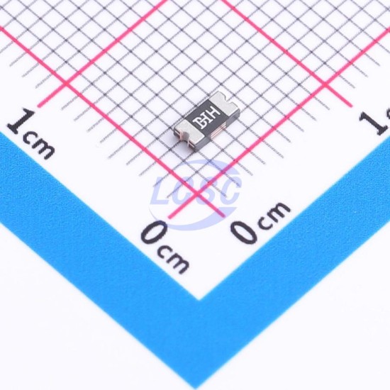 BHFUSE BSMD1206-100-30V BHFUSE BSMD1206-100-30V