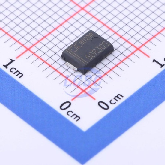 Shenzhen DongKe Semicon DK5V60R30S Shenzhen DongKe Semicon DK5V60R30S