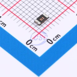 BORN SMD1206-020/30N BORN SMD1206-020/30N
