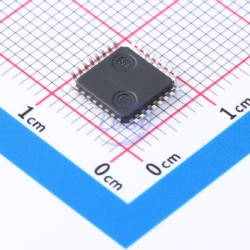 MICROCHIP SY100EP196VTG