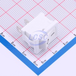 Legion SS11-WWIBG-R20-R(W2)