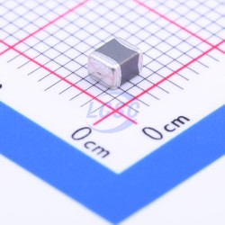 muRata BLE32PN300SN1L