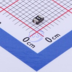 BHFUSE BSMD0805-005-24V BHFUSE BSMD0805-005-24V