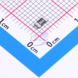 BHFUSE BSMD1206-025-16V BHFUSE BSMD1206-025-16V