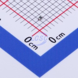 BHFUSE BSMD0402L-020 BHFUSE BSMD0402L-020