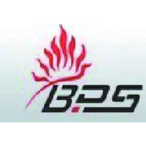 BPS(Bright Power Semicon)