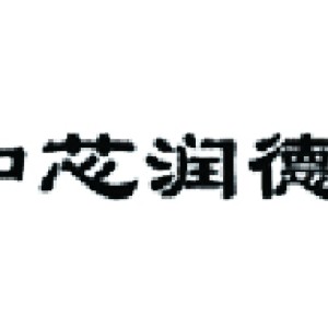 CoreChips