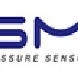 Silicon Microstructures(SMI)