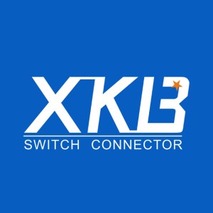 XKB Connection