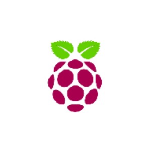 Raspberry Pi
