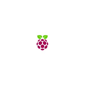 Raspberry Pi