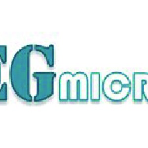 EG Micro
