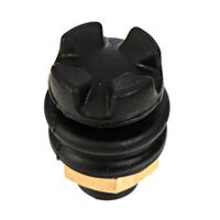 Ruffy Controls Inc. TS2-1-R-T-1-C-BK