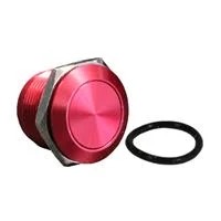 CIT Relay and Switch BH19NFRBX