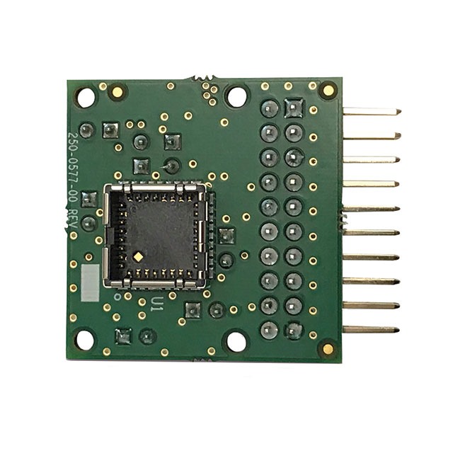 FLIR Lepton 250-0577-00