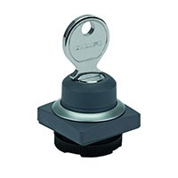 RAFI 1.30.275.151/0100