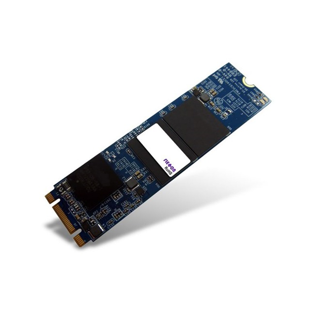 Flexxon Pte Ltd FSSO128GME-M100