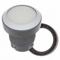 RAFI 1.30.240.001/1008