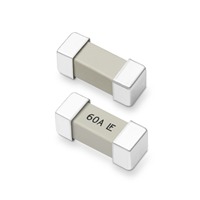 Littelfuse Inc. 0456060.DRSDE