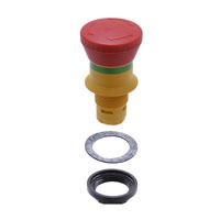 RAFI 1.30.074.281/0300