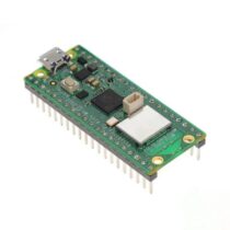 Raspberry Pi SC0919
