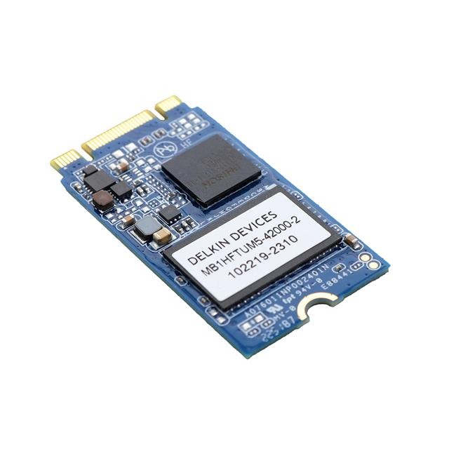 Delkin Devices, Inc. MB1HFTUM5-42000-2