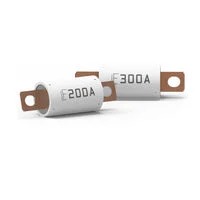Littelfuse Inc. 30EV300.ZXBDM