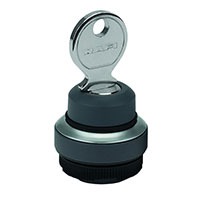 RAFI 1.30.275.101/0100