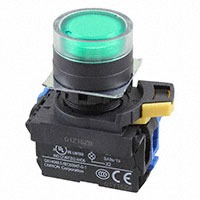 Omron Automation and Safety A22NL-BGA-TGA-G100-GD