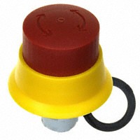 RAFI 1.30.074.821/0000